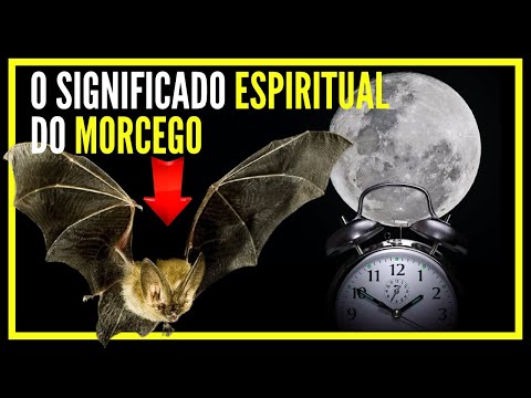 Vídeo: Qual é o significado de morcego sugador de sangue?