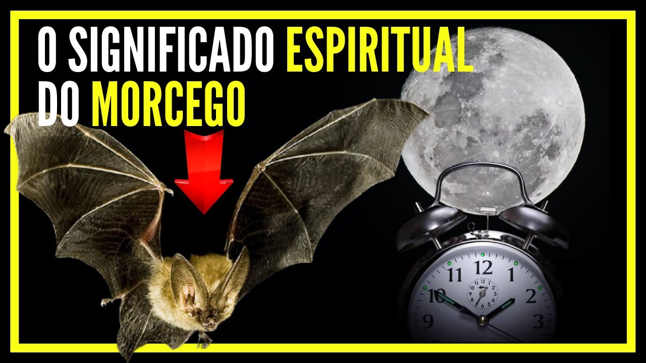 o presságio do morcego - significado espiritual do morcego