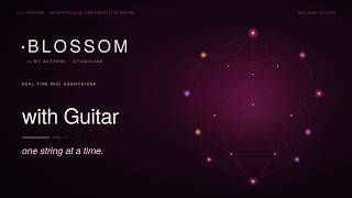 Blossom with Guitar — One String, Full Chord