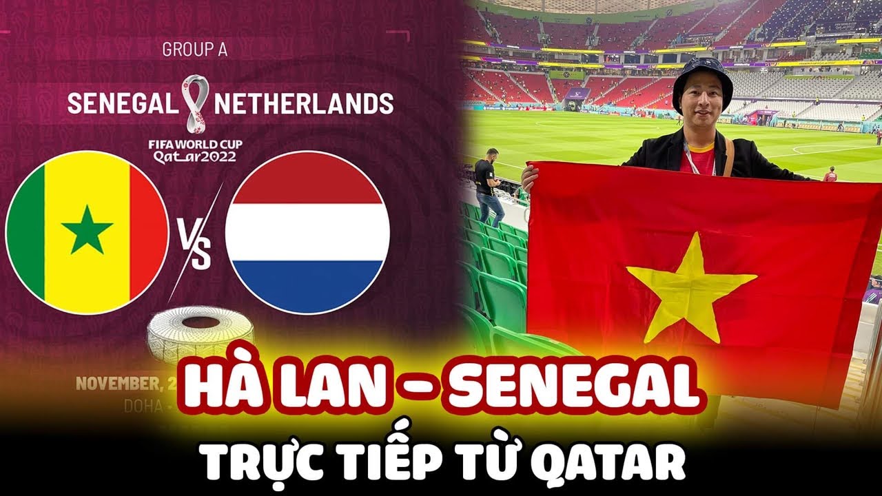 ⁣Trực tiếp: Senegal vs Hà Lan | World Cup 2022 và màn đối đầu rực lửa