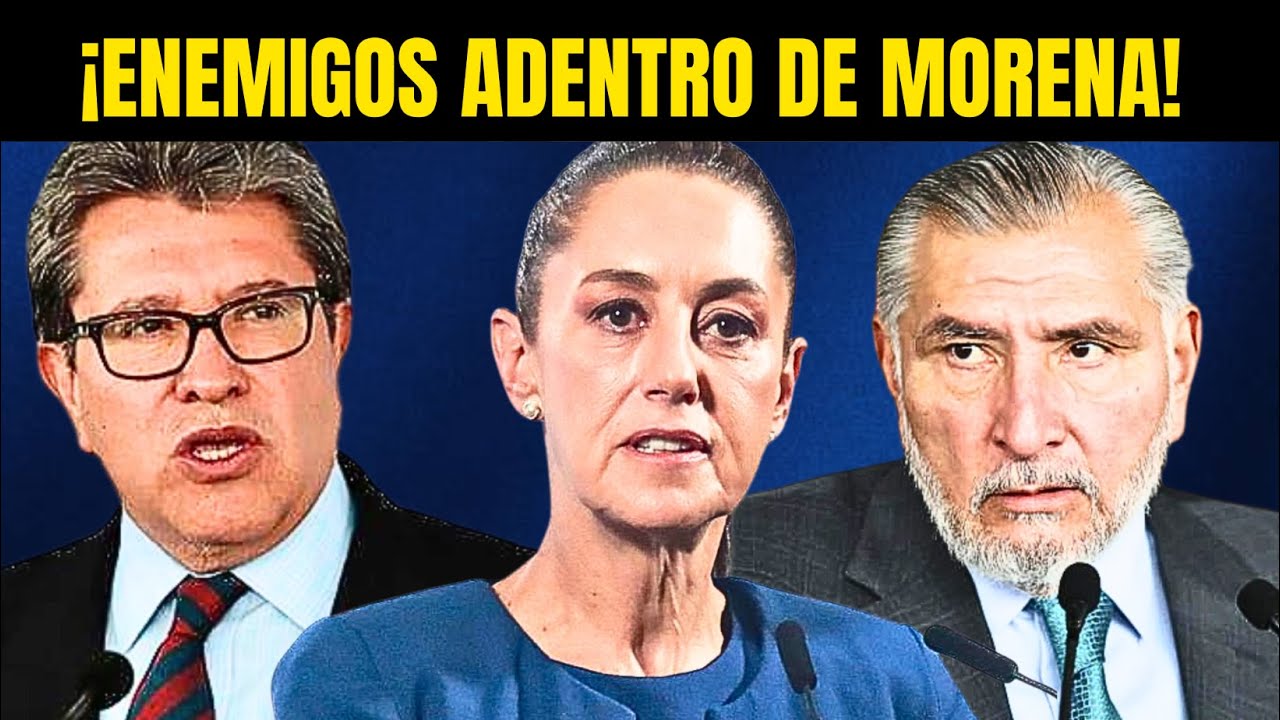 Divisiones adentro de Morena