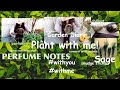 Garden Diary 🌱Plant with me  #withme PERFUME NOTES: SAGE