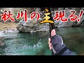 【渓流釣り】秋川で渓流釣りしてたら史上初の大物出現！12月のニジマス釣り！