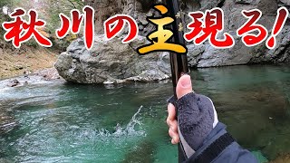 【渓流釣り】秋川で渓流釣りしてたら史上初の大物出現！12月のニジマス釣り！
