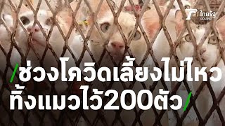 กลุ่มคนรักแมวช่วยแมวติดตึกกว่า200ตัว | 26-02-64 | ข่าวเช้าหัวเขียว