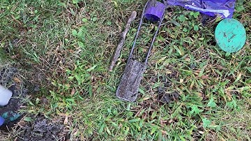 How Sentricon® Protects Your Home from Termites