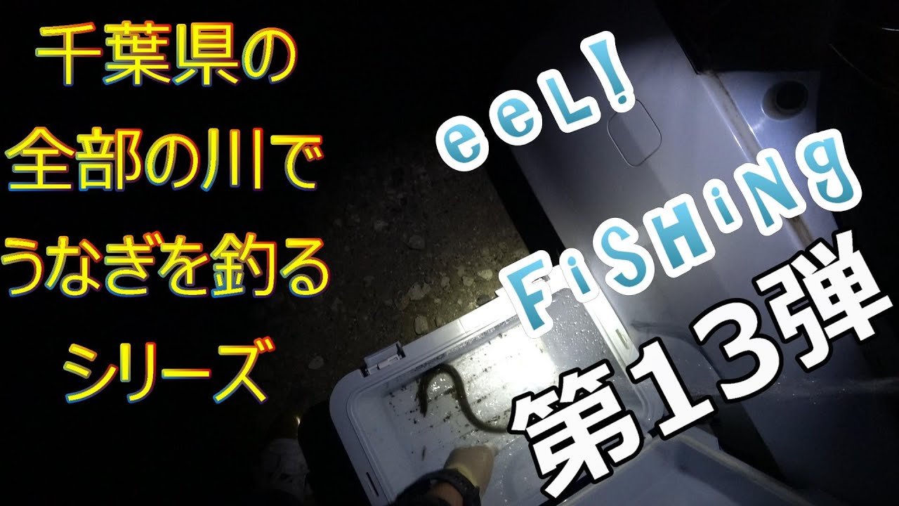 久々のウナギ釣り りっぷへあーのブログ