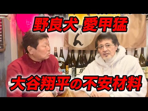 ⑤野良犬・愛甲猛が大谷翔平の「不安材料」を語る