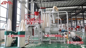 0.2-1TPH Poultry Feed Production Line | Chicken Feed Production Line | Cattle Feed Pellet Plant