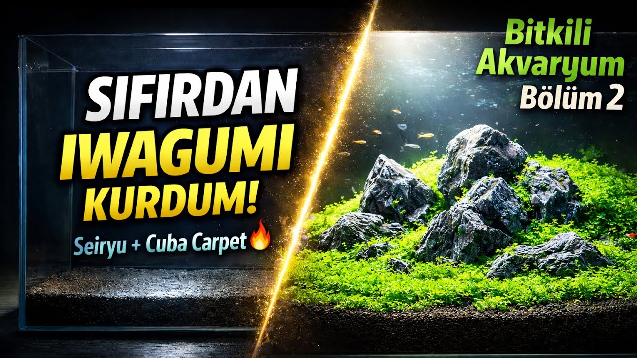IWAGUMI Bölüm 2 – Sistem Oturuyor! CO₂, Işık Ayarı ve Bitkilerde İlk Tepkiler 🌱