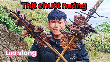 THĂM BẪY TRONG RỪNG VÀ LÀM MÓN CHUỘT NƯỚNG TRONG RỪNG TRÁI NGHIỆP THÚ VỊ (Lụa vlong)