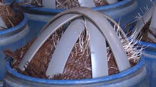 BẠN CỦA NHÀ NÔNG