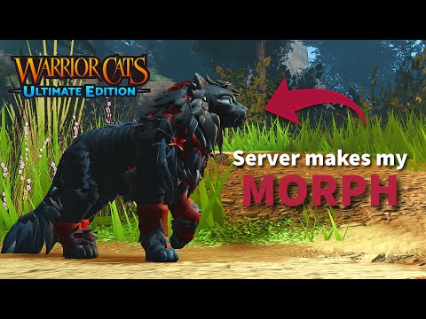 A Server Makes My Morph in Warrior Cats; Ultimate Edition!
