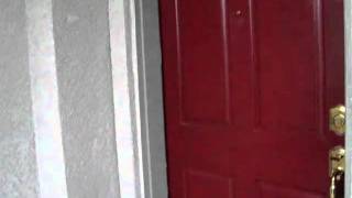 MVI_0987.AVI