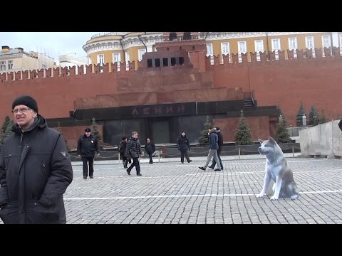 Хатико, Ленин и