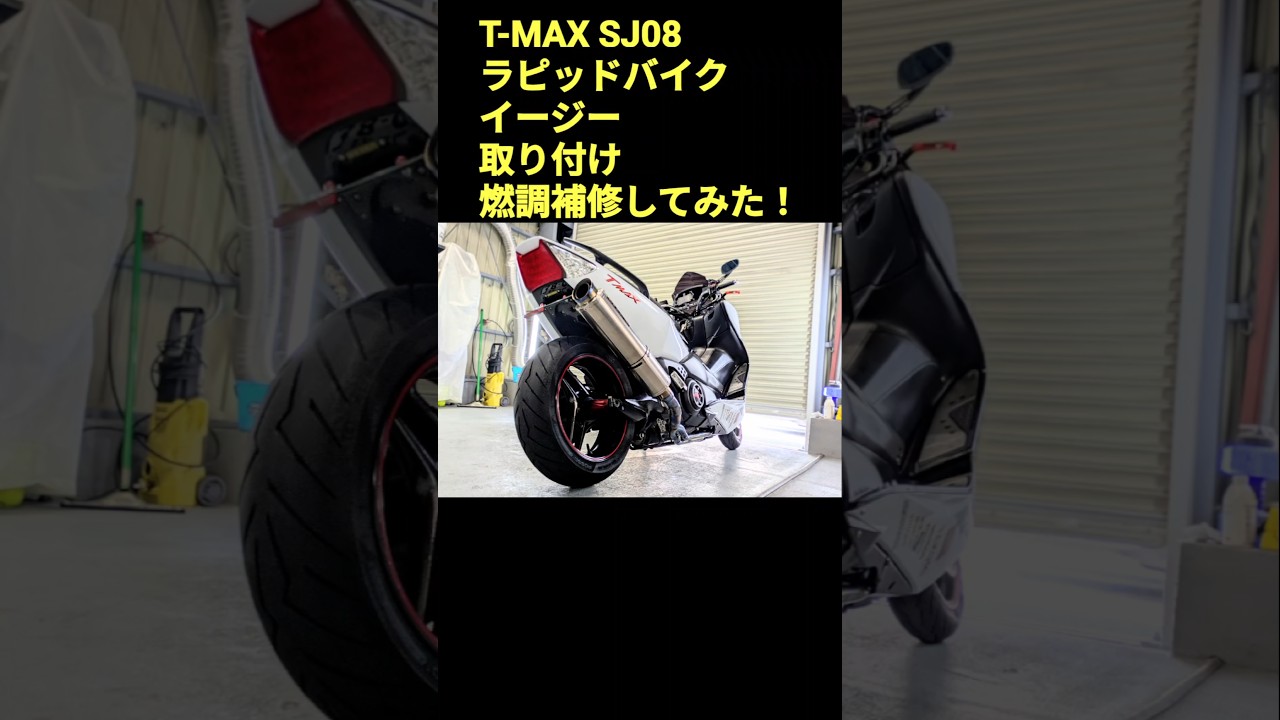 ラピッドバイクイージー　t-max530 RAPID BIKE EASY - rapidbike-japan