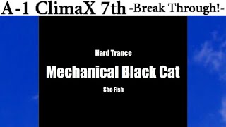 Mechanical Black Cat