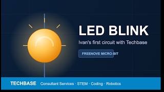 Micro:bit Blink Project — Ivan's First Circuit! | Freenove Ultimate Starter Kit (Techbase)