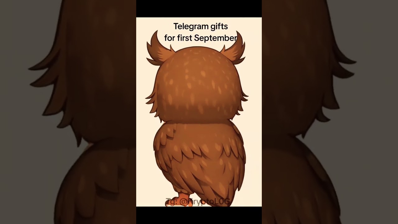 more information in telegram 