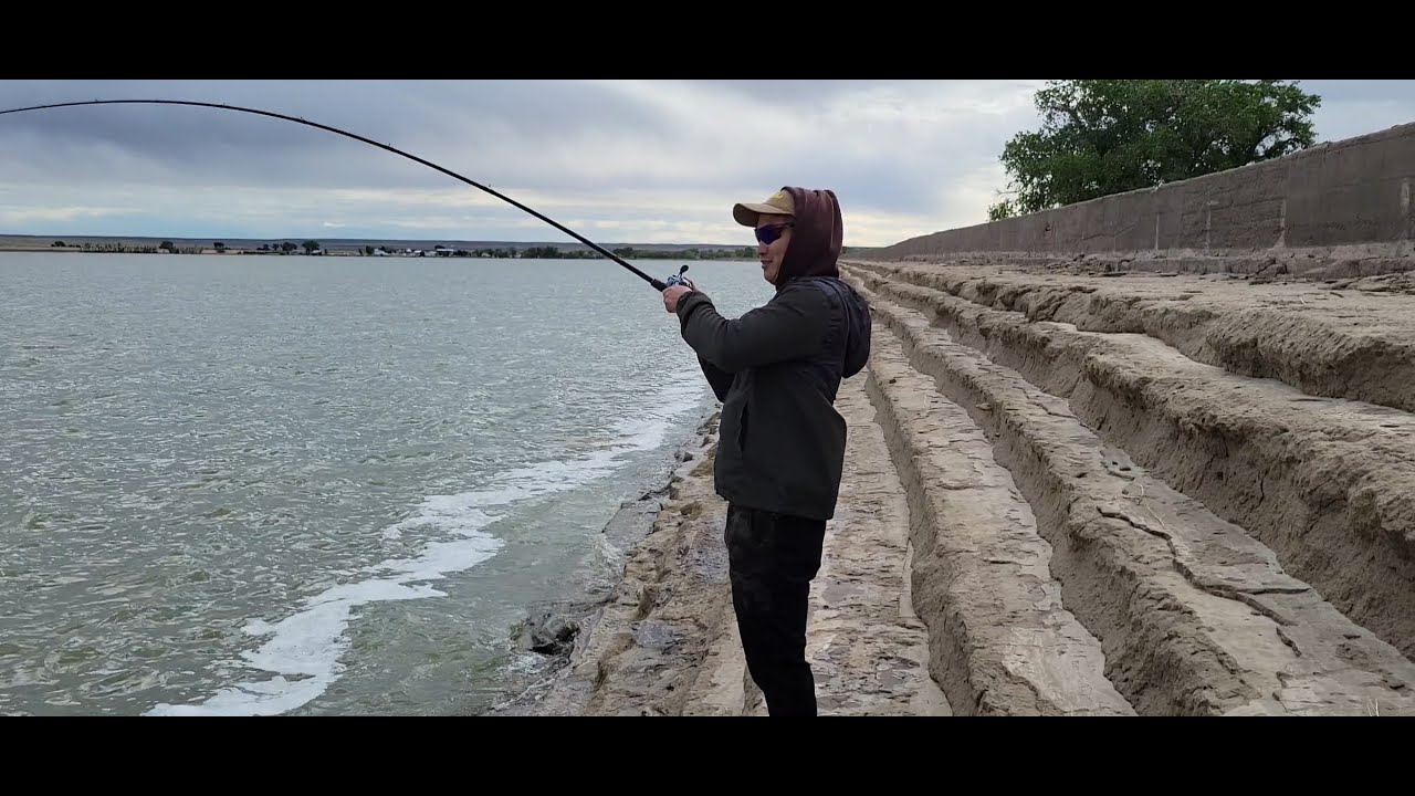 Shore fishing for wipers/ hybrids before the storm YouTube