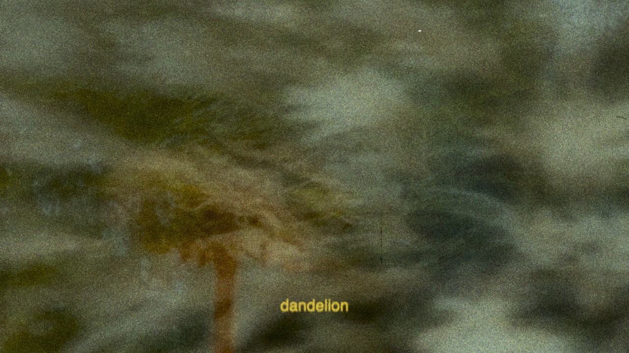 silent collision - Dandelion (Official Lyric Video) auf YouTube ansehen silent collision - Dandelion (Official Lyric Video) auf YouTube ansehen