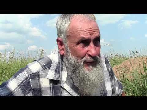 Видео: Деградация на почвата