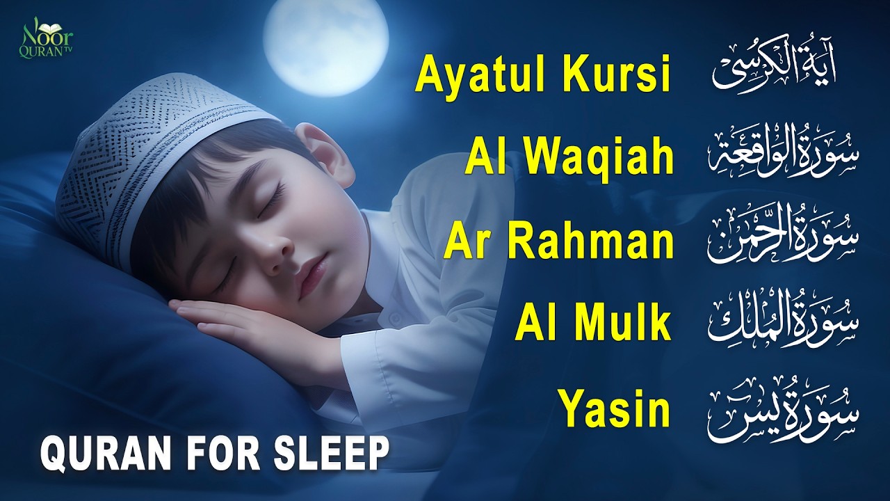 Soothing Quran for Deep Sleep | Fatiha, Ayatul Kursi, Rahman, Al-Mulk, Yasin, Al-Waqiah - Alaa Aqel