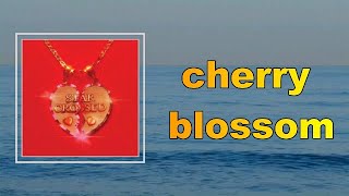 Kacey Musgraves - cherry blossom (Lyrics)