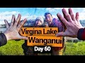 🗺️ Wanganui Market &amp; Virginia Lake - New Zealand&#39;s Biggest Gap Year – Backpacker Guide New Zealand