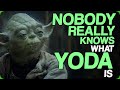 Nobody Really Knows What Yoda Is (Star Wars Prequel Memes)