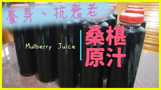 Mulberry Juice：Promote intestinal motility and beauty | 桑葚原汁：促進腸道蠕動、養顏美容 |台灣家常菜 Ep21