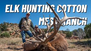 The Hunt of a Lifetime Starts Here