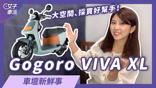 厲害了大空間！Gogoro VIVA XL 採買、載人都適合｜車壇新鮮事