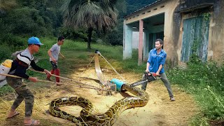 Primitive people make snake traps from handsaws and bamboo tubes, 100% effective. clean up Profile