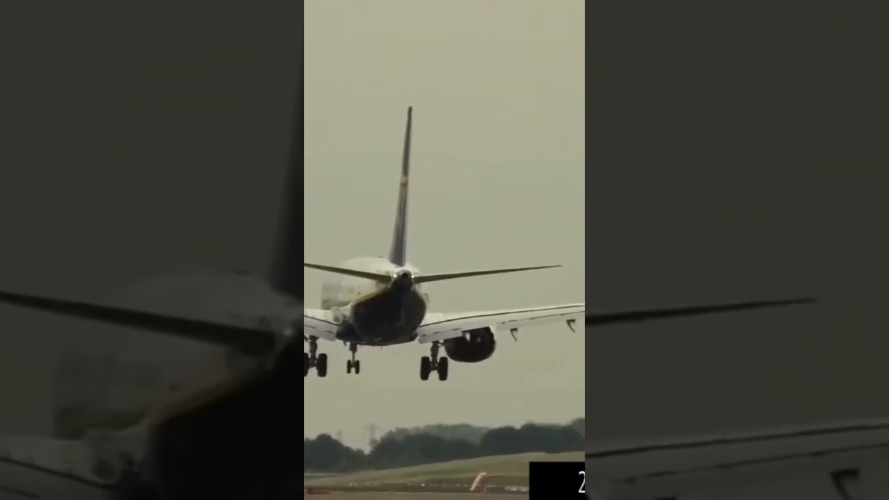 Ryanair B737 Bird Strike.