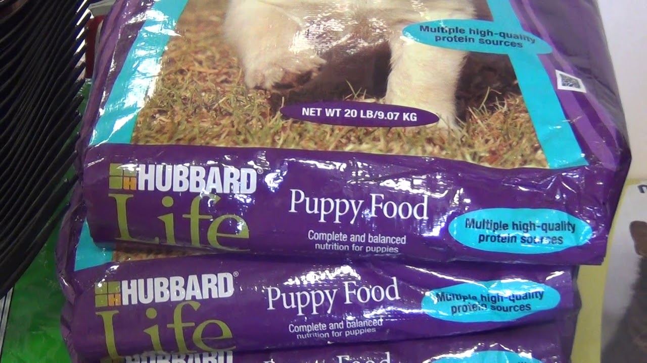 Yukon Gold Casino Interface