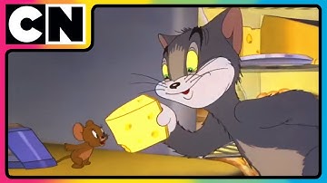 Tom and Jerry😺🐭| Jerry