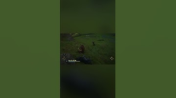 YOU DONT SEE THIS EVERYDAY IN ASSASSINS CREED VALHALLA, PLUS A NICE LITTLE GLITCH AT THE END 👀 #fyp