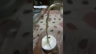 DIY study lamp
