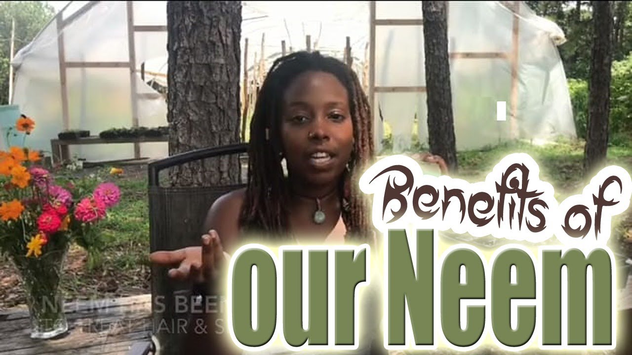 Benefits of Neem & Chlorella Soap YouTube