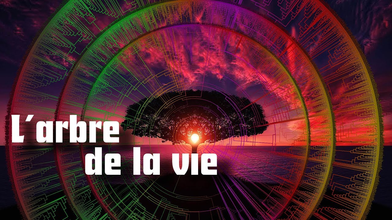 L'ARBRE qui contient la totalité du vivant