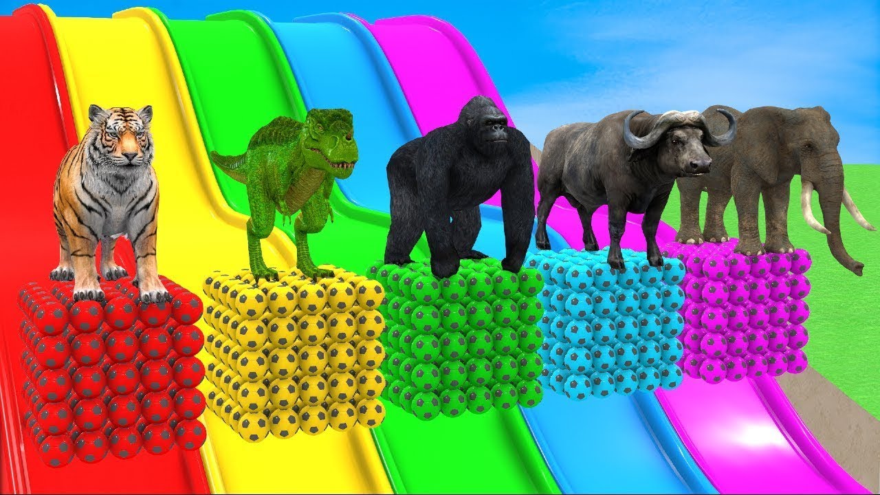 Long Slide Game with Cow Elephant Gorilla Hippopotamus Tiger 3d Animal Game Funny 3d Animals