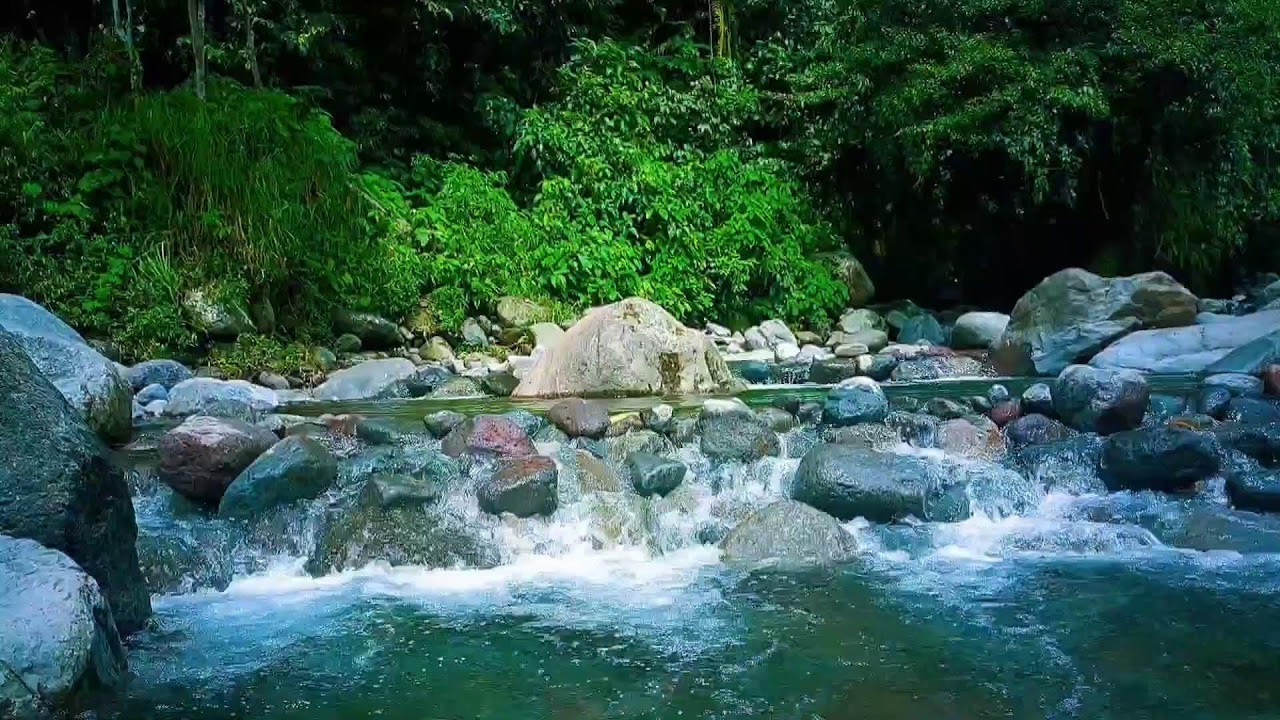 🌊 Deep Forest River ASMR Sounds for Sleep, Relaxation & Peaceful Mind