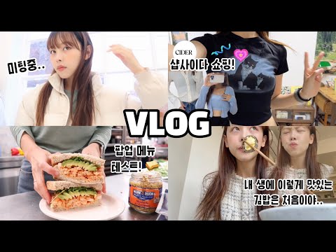 <strong>빵순이의</strong> 다이어트의 일상 브이로그ㅣ행궁동건강김밥,카페추천ㅣ샵사이다쇼핑하울ㅣ아이폰14pro브이로그ㅣ빵어니스타팝업ㅣ단백질쉐이크추천