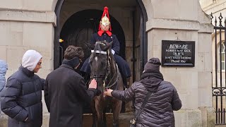 KING'S HORSE ENJOYS THE ATTENTION GIVEN BY TOURIST!