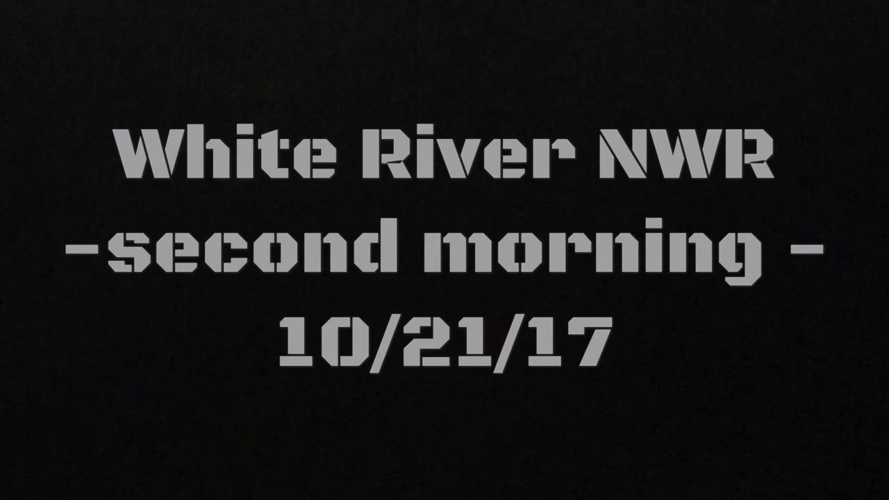White River NWR Hunting Late Oct. 2017 YouTube