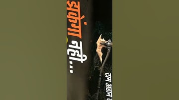 Pushpa Movie Dialogue Attitude Status | 3D Camera Edit | Alight Motion | Veilside Editz #pushpa