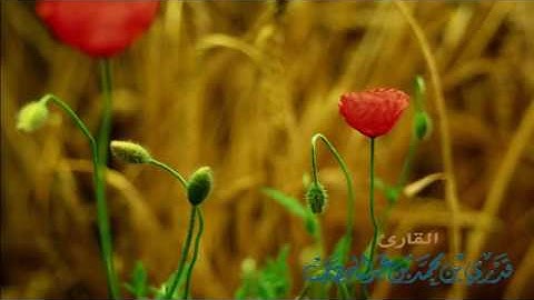 تلاوة مختارة من سورة النساء - إنا أنزلنا إليك الكتاب - لقاري قدري محمد عبدالوهاب