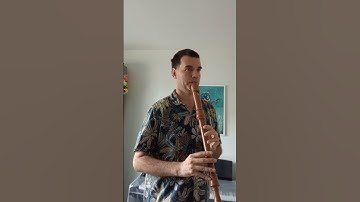 Bergamasca #recorder #recordermusic #recorderplayer #earlymusic #renaissancemusic
