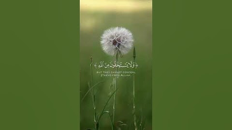 تلاوة خاشعة جميله بصوت سعد الغامدي ارح سمعك ❤ #القرآن_الكريم #سعد_الغامدي #اكسبلور